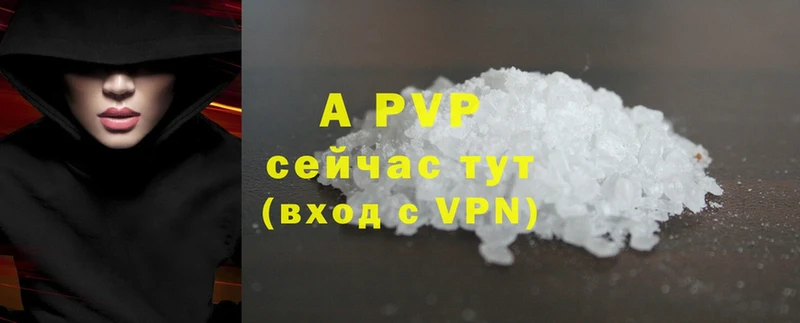 A PVP СК КРИС Киреевск