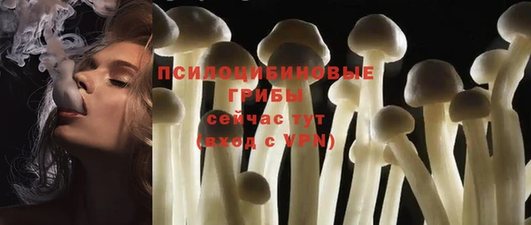 PSILOCYBIN Богданович